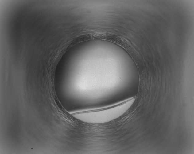 X0000073401345200607280924