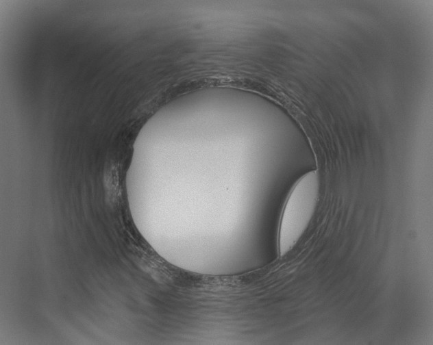 X0000073401347200607280924