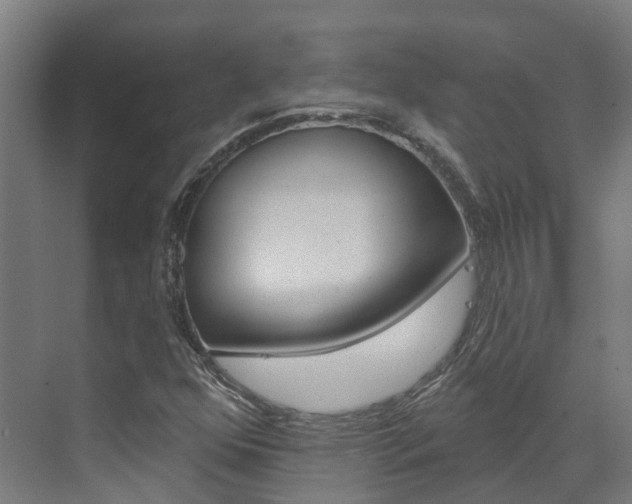 X0000073401352200607280924