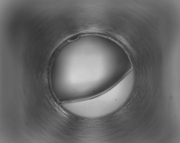 X0000073401356200607280924