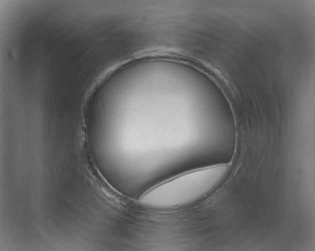 X0000073401363200607280924
