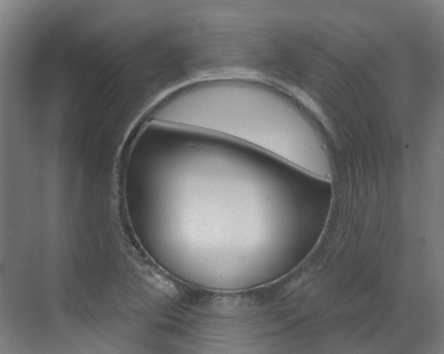 X0000073401364200607280924