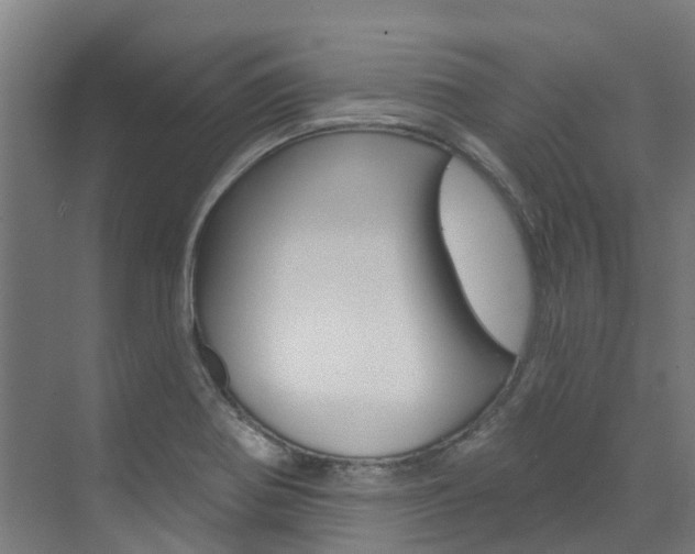 X0000073401370200607280924