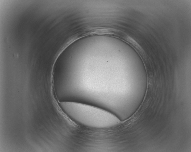 X0000073401378200607280924