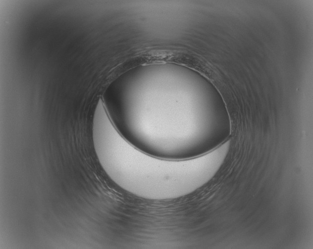 X0000073401394200607280923