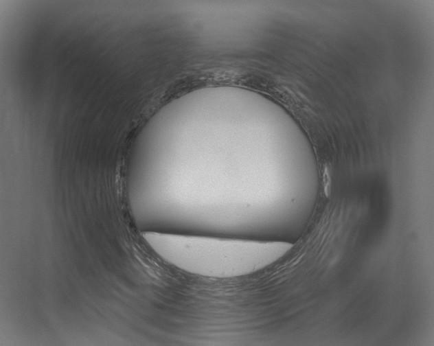 X0000073401395200607280923