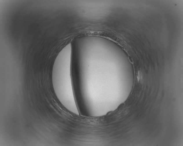 X0000073401396200607280923