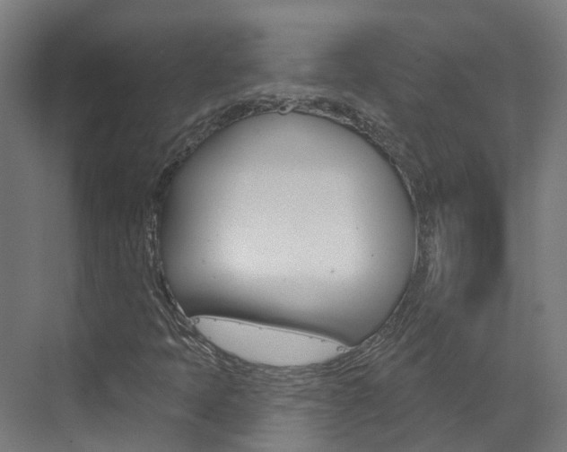 X0000073401397200607280923
