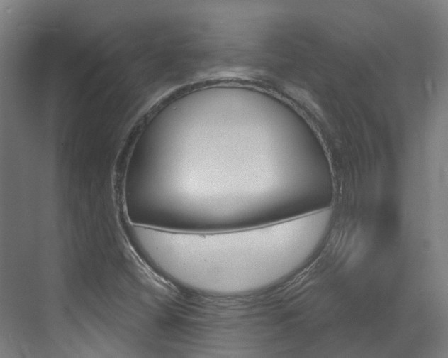 X0000073401404200607280923