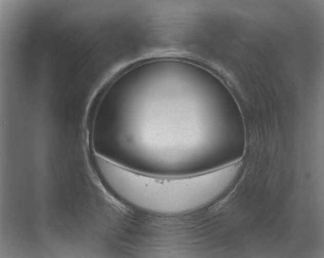X0000073401414200607280923