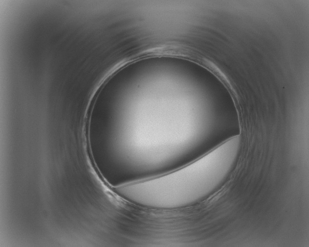 X0000073401434200607280923