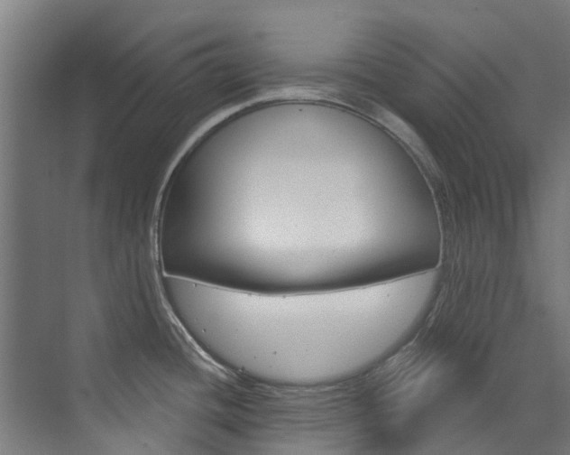 X0000073401436200607280923
