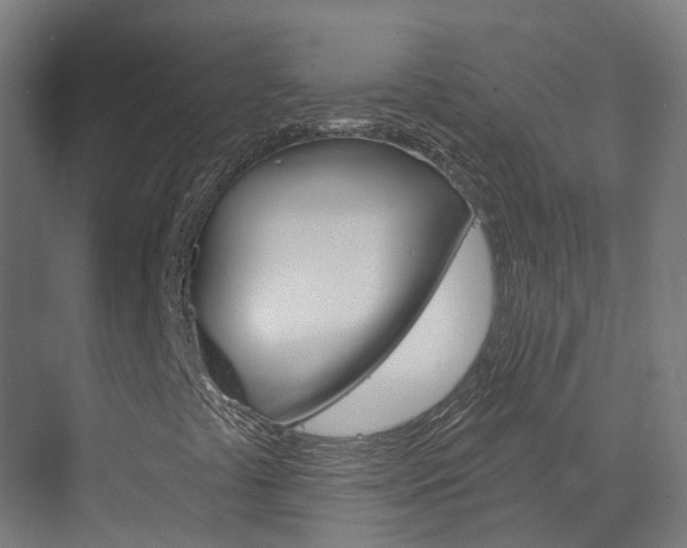 X0000073401441200607280923