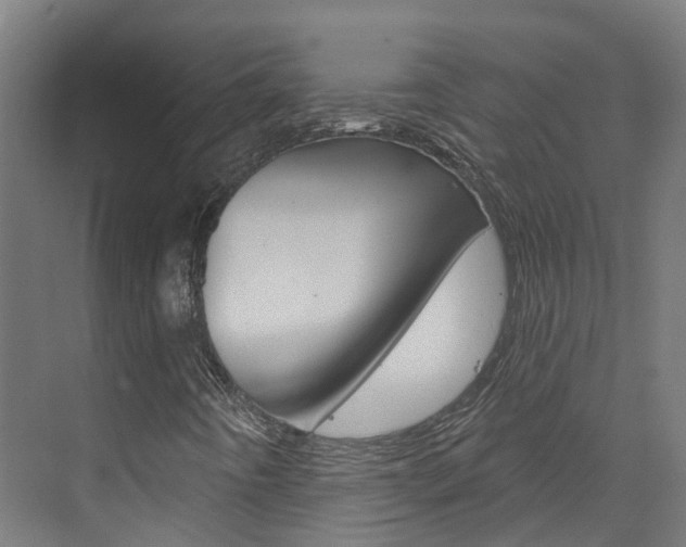 X0000073401442200607280922
