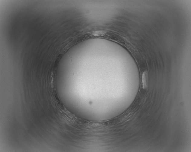 X0000073401443200607280922