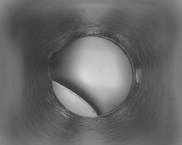 X0000073401444200607280922
