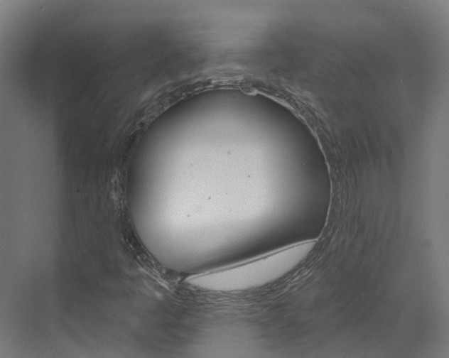 X0000073401445200607280922