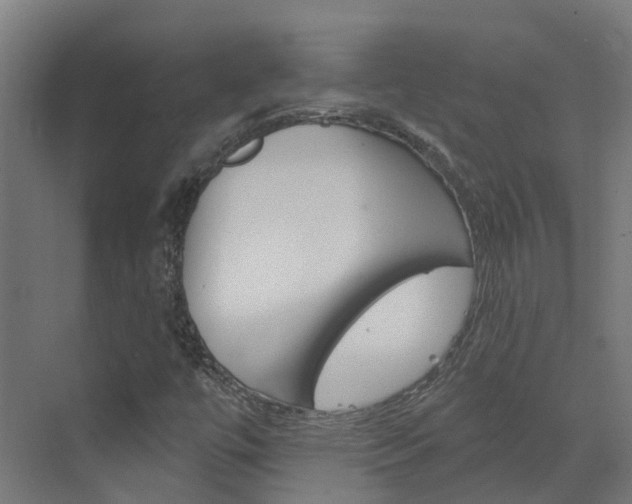 X0000073401447200607280922