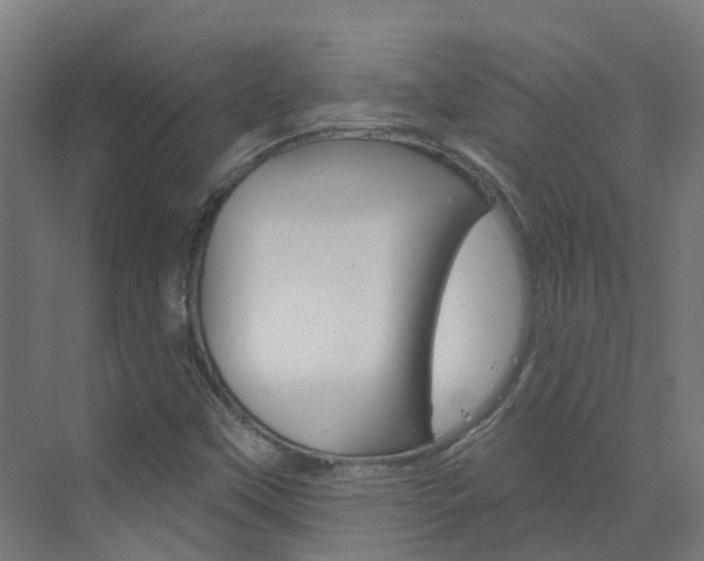 X0000073401451200607280922