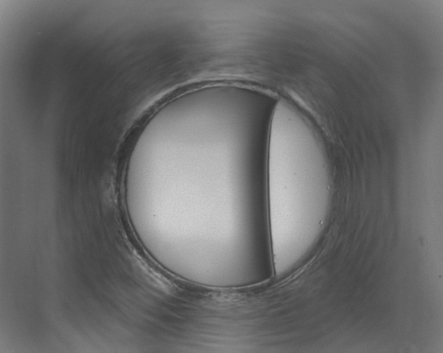 X0000073401452200607280922