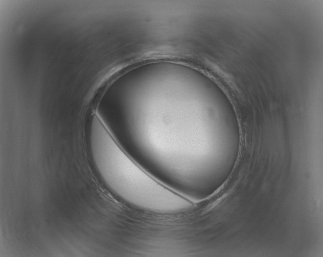 X0000073401453200607280922