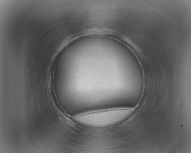 X0000073401459200607280922