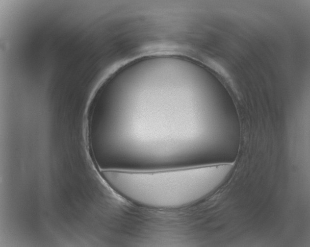 X0000073401472200607280922