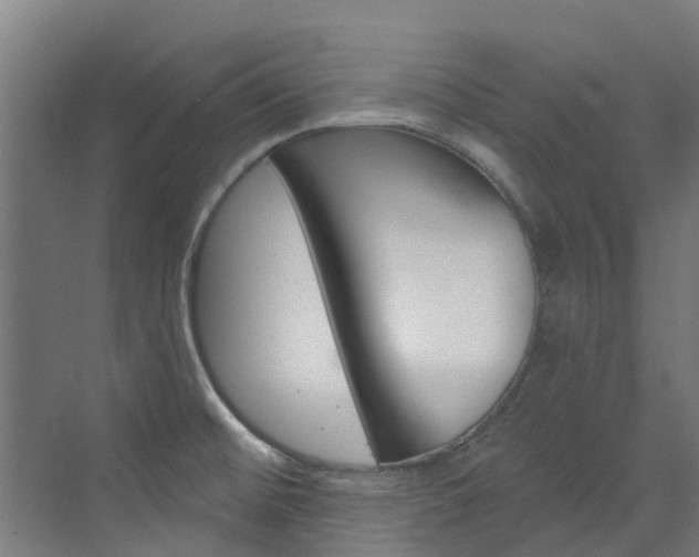 X0000073401476200607280922