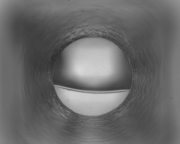 X0000073401490200607280921