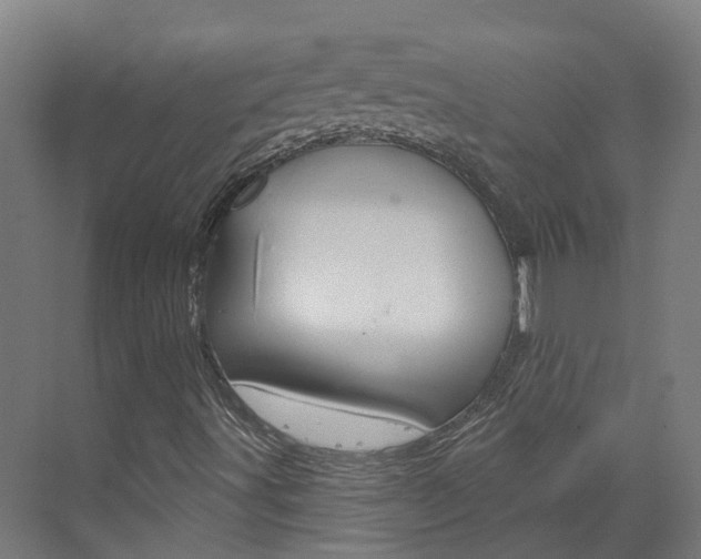 X0000073401491200607280921