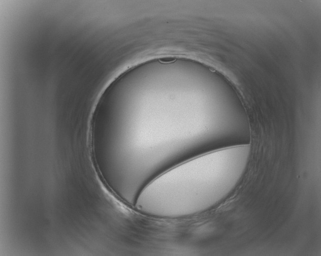 X0000073401527200607280922