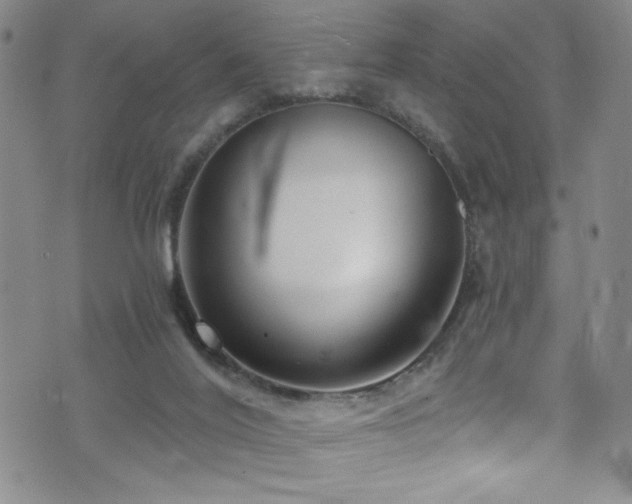 X0000073400020200607281136