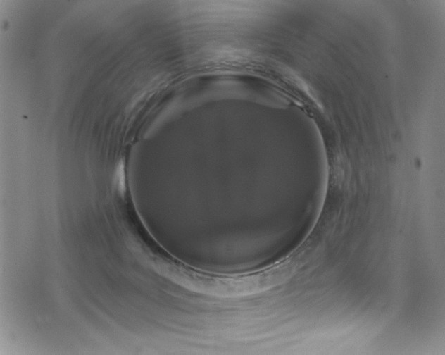 X0000073400027200607281136