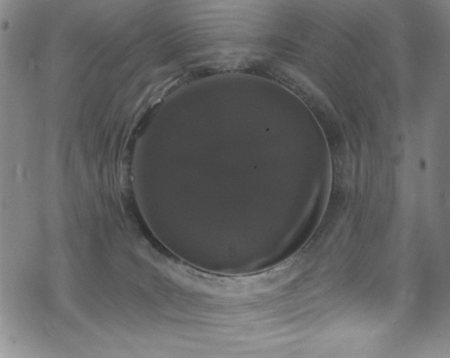 X0000073400035200607281136