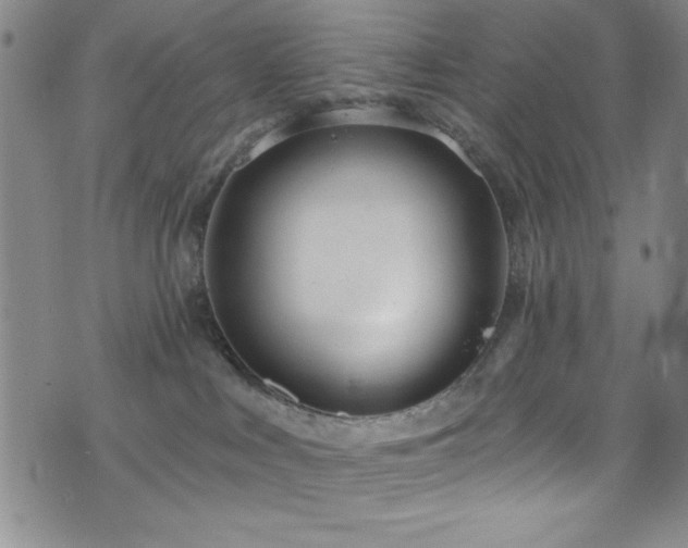 X0000073400043200607281136