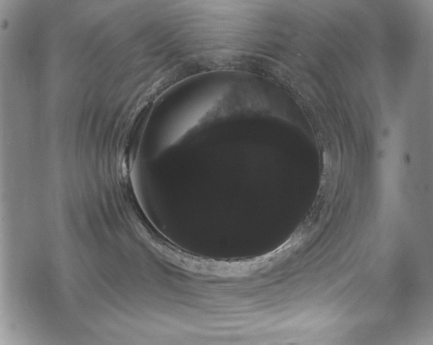 X0000073400048200607281135