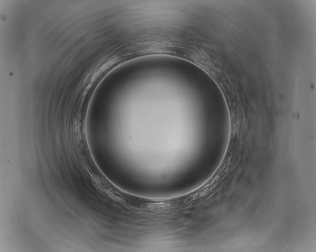 X0000073400050200607281135