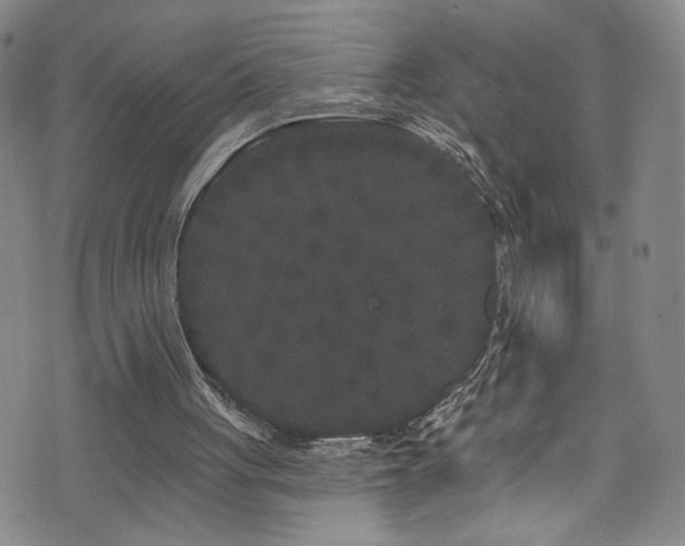 X0000073400051200607281135