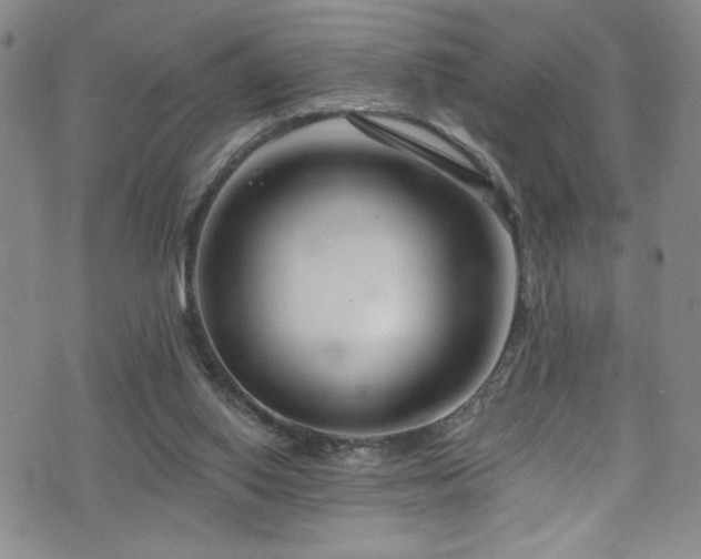 X0000073400062200607281135
