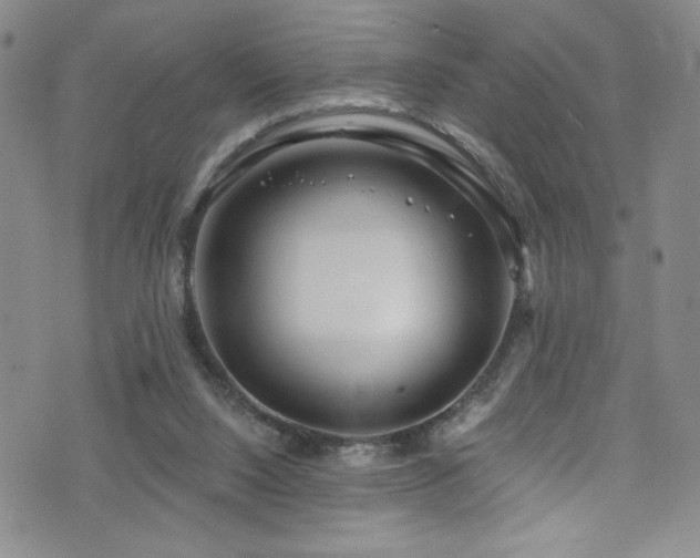 X0000073400064200607281135
