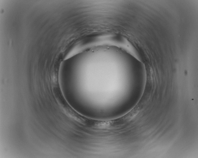 X0000073400084200607281135