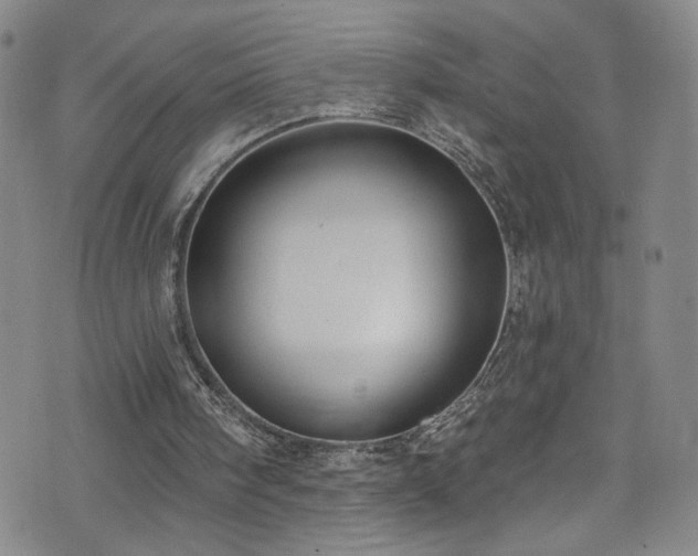 X0000073400098200607281135