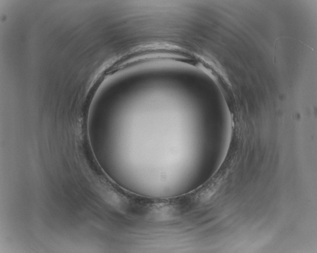 X0000073400111200607281134