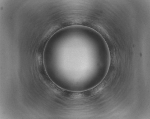 X0000073400123200607281134