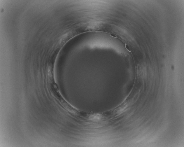 X0000073400127200607281134