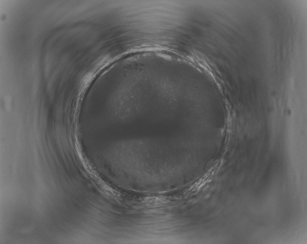 X0000073400145200607281133