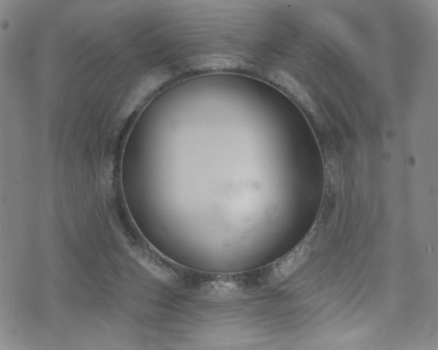 X0000073400159200607281133