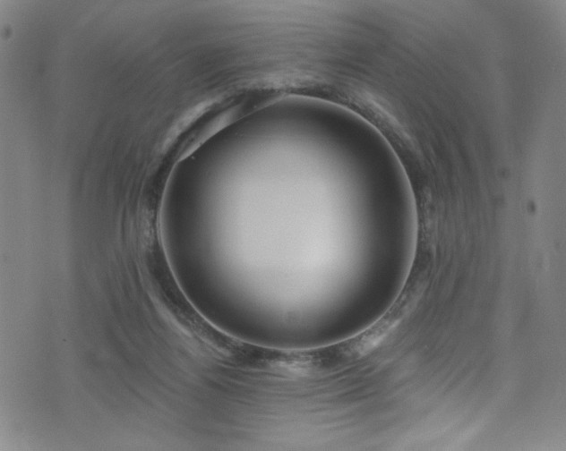 X0000073400164200607281133