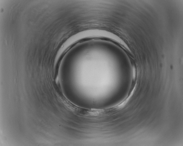 X0000073400190200607281134