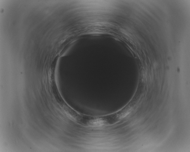 X0000073400219200607281133